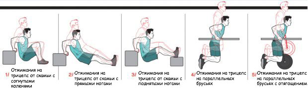 Виды отжиманий на трицепс